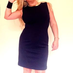 NWT Mario Serrani Comfort Stretch Knit Shift Dress